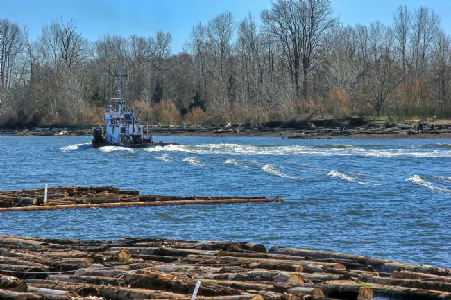 Chris Langley | Log Boom Barge