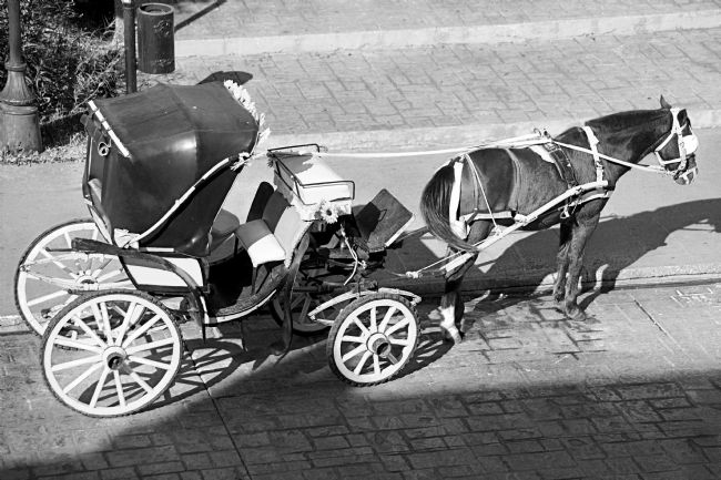 Chris Langley | Izamal, Mexico, taxi rank