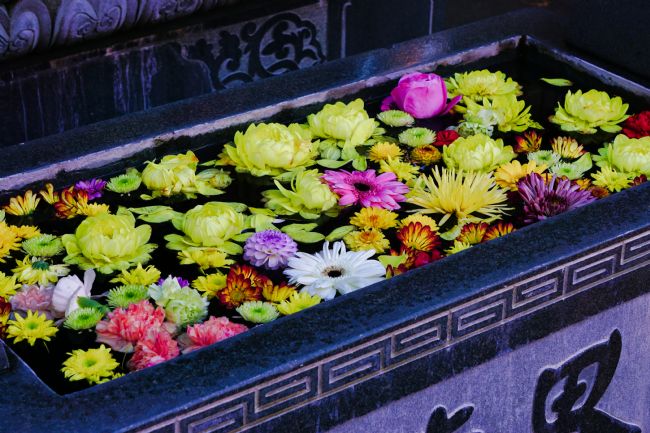 Chris Langley | Chinese International Buddhist Temple, Richmond, BC