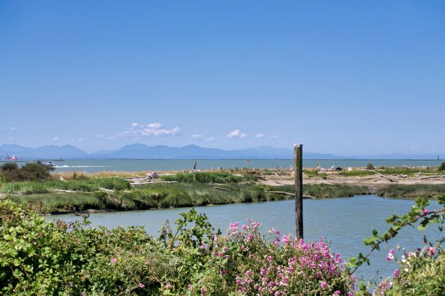 Chris Langley | Edge of Fraser River Delta