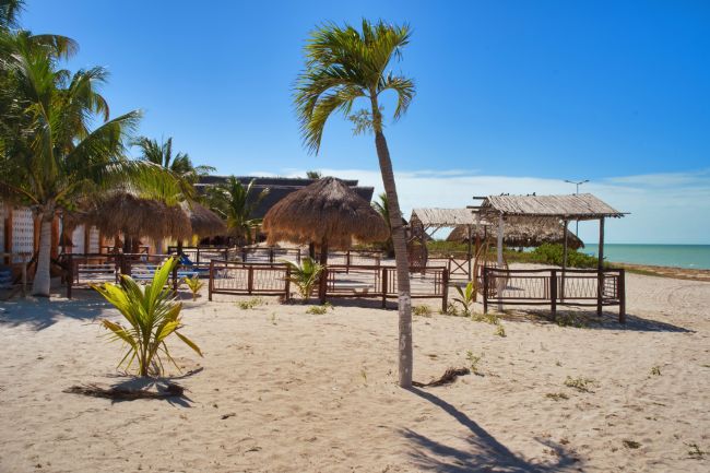 Chris Langley | the beach at Celestun, Yucatan, Mexico