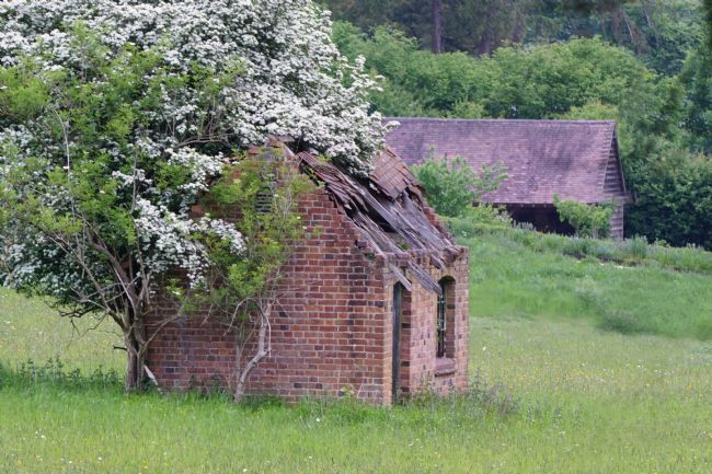 Chris Langley | Through the roof, a Hawthorn abode