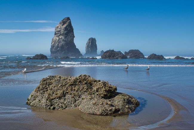 Chris Langley | Inundation of the Rocks, Cannon Beach, Oregon