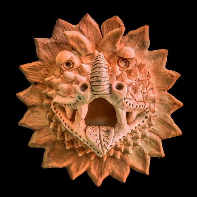 Chris Langley | Sea Monsters  celebrated at Playa 55, Celestun, Yucatan