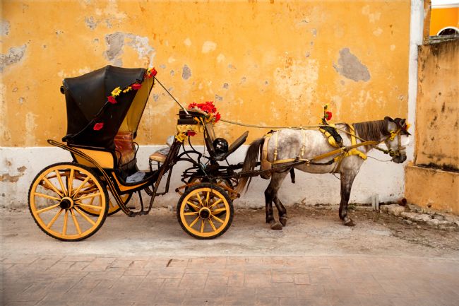 Chris Langley | Wishful thinking while waiting