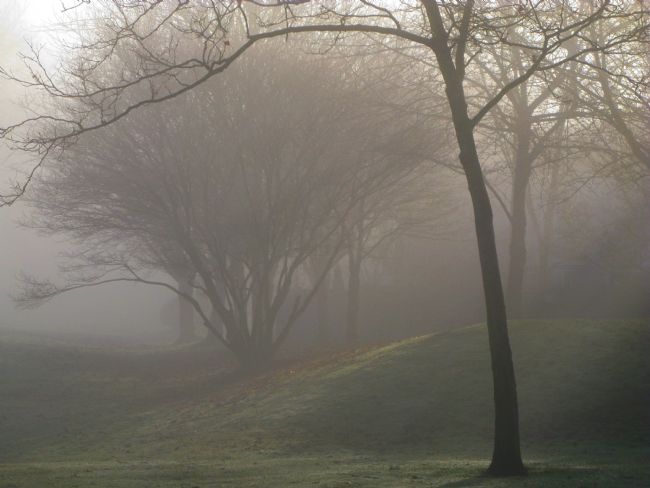 Chris Langley | Moody, misty morning