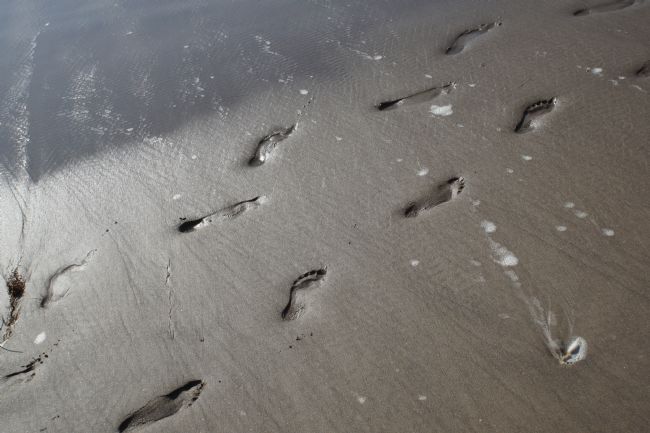 Chris Langley | Walking side by side