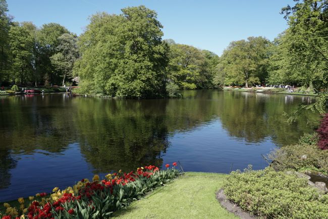 Chris Langley | Lake at the Keukenhof, Holland