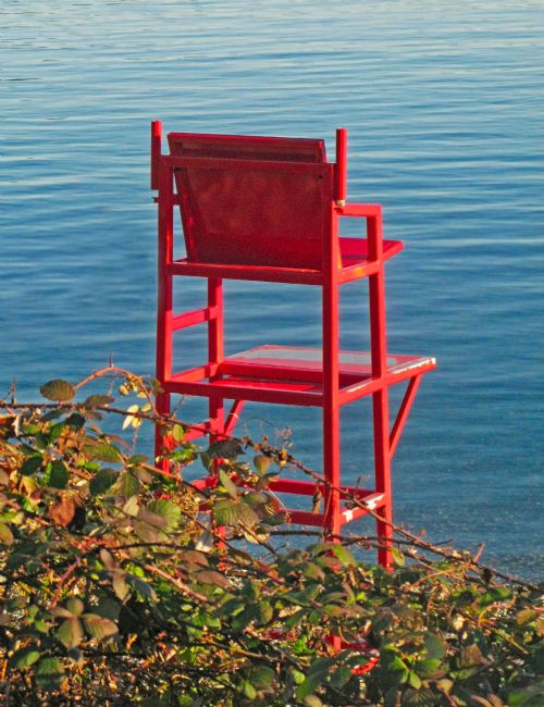 Chris Langley | The Lifeguard's Chair