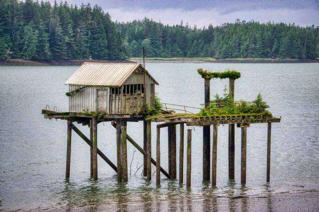 Chris Langley | Port Edward, British Columbia - Nature Reclaims