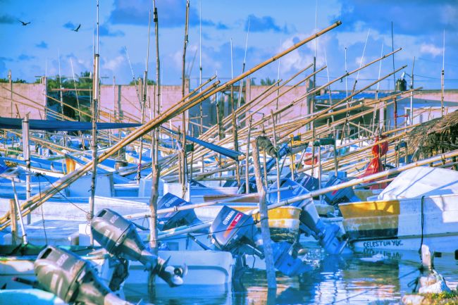 Chris Langley | Fishing Harbour at Celestun, Yucatan, Mexico