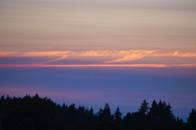 Chris Langley | Across The Salish Sea at Dusk