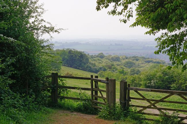 Chris Langley | Gates on Watlington Hill, Oxfordshire