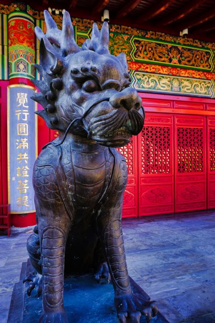 Chris Langley | Chinese International Buddhist Temple, Richmond BC