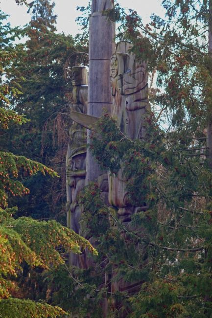 Chris Langley | Spirits in the forest