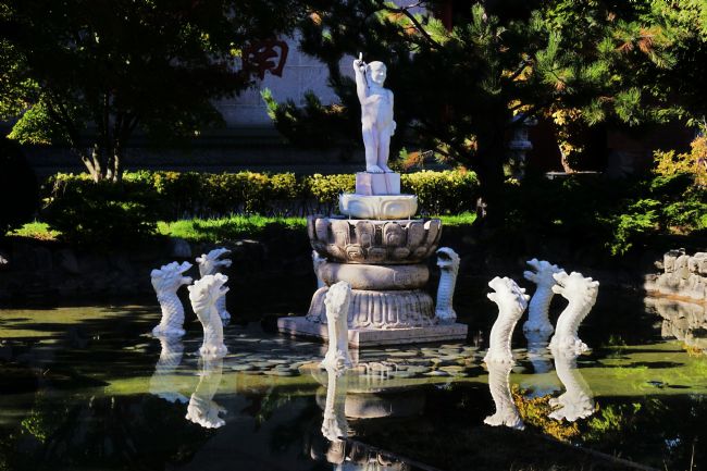 Chris Langley | Lake dragons emerging, Chinese International Buddhist Temple, Richmond, BC, 