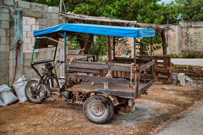 Chris Langley | Celestun Taxi #5, Yucatan, Mexico