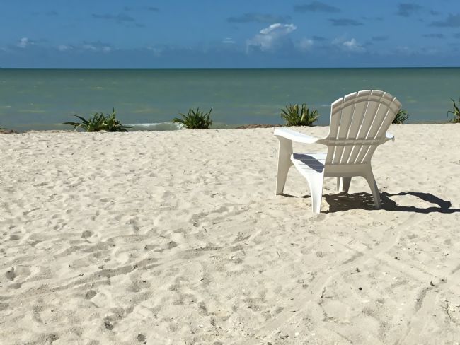 Chris Langley | A seat for forever...