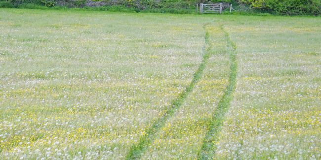 Chris Langley | Making Tracks Downslope