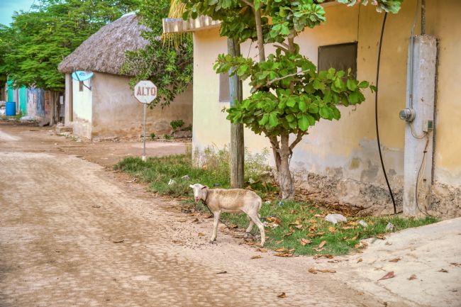 Chris Langley | Things to watch out for at intersections