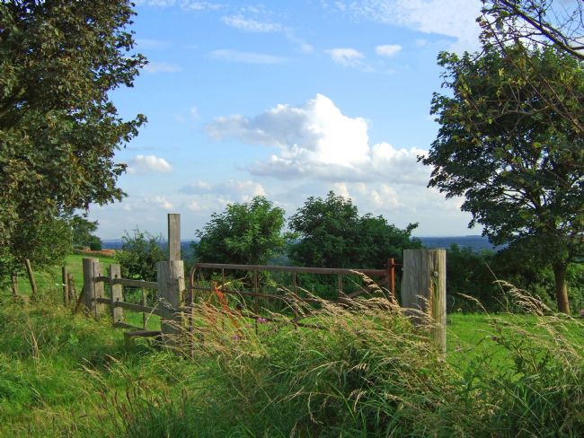 Chris Langley | Lincolnshire Wolds