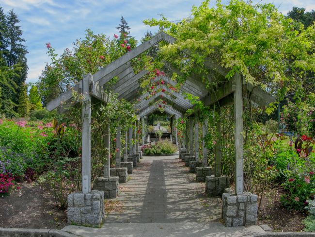 Chris Langley | The Rose Arbor - Stanley Park, Vancouver