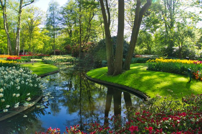 Chris Langley | Winding Spring Stream, Keukenhoff, Holland