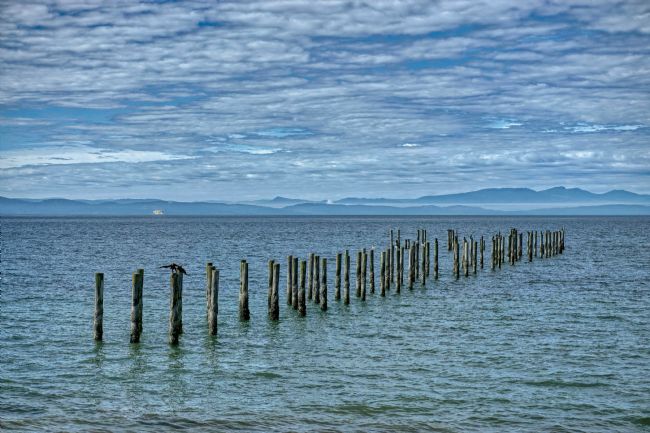 Chris Langley | Old Jetty - Points Roberts Washington