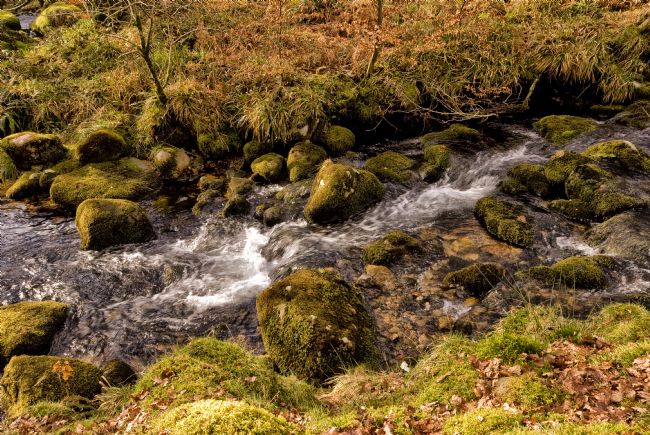 Jay Lethbridge | River Meavy, Dartmoor National Park