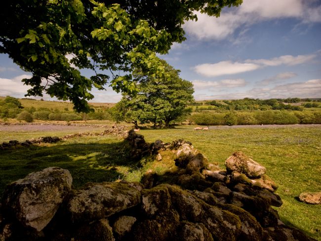 Jay Lethbridge | Emsworthy, Dartmoor National Park