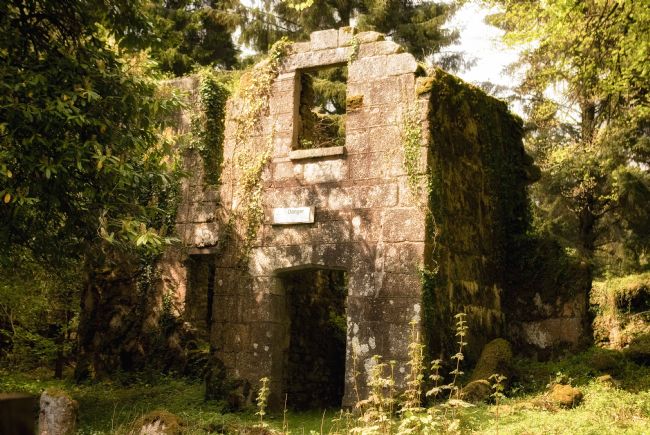 Jay Lethbridge | Remains of Longstone Manor on Dartmoor National Park