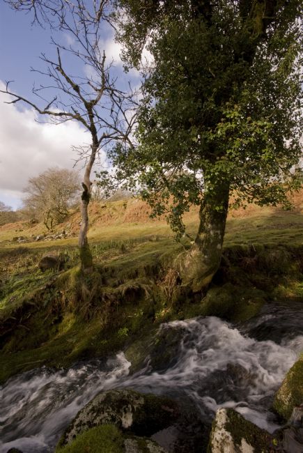 Jay Lethbridge | Newleycombe Lake near Burrator Reservoir