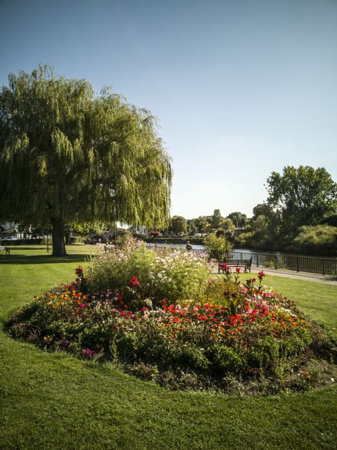 Jay Lethbridge | Flower bed and weeping willow tree by the River Severn