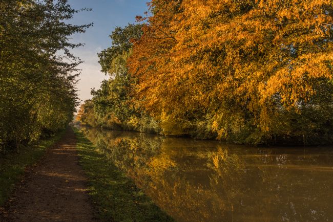 Jacovos Jacovou | Autumn at last