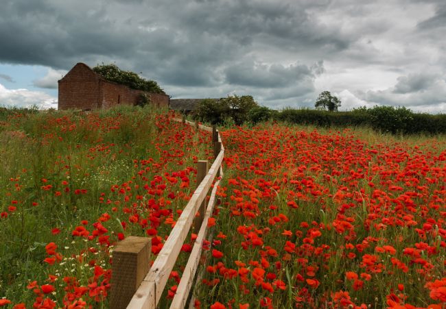 Jacovos Jacovou | The old barn