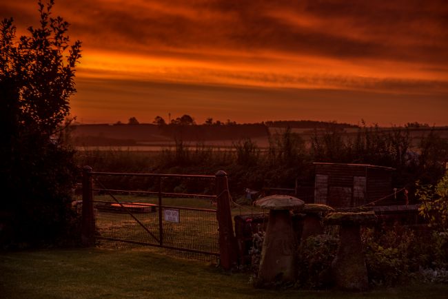 Jacovos Jacovou | sunrise and dew drops 