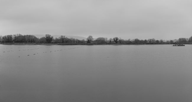 Jacovos Jacovou | Startops Pano