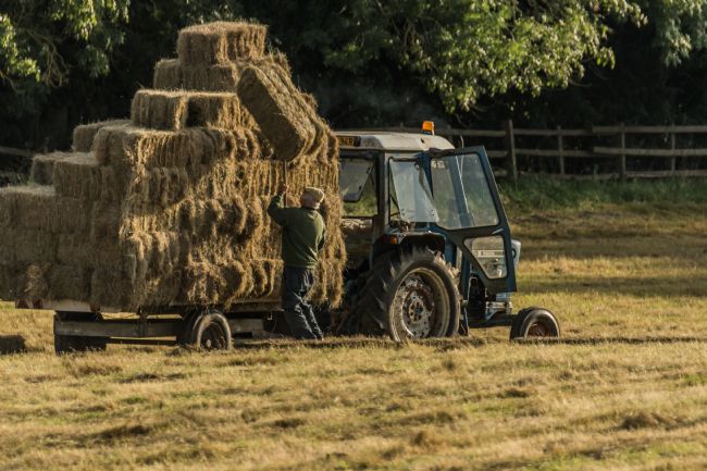 Jacovos Jacovou | Farmer hay stacking