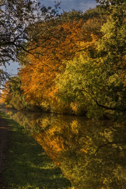 Jacovos Jacovou | Autumnal Colours