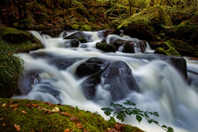 Stuart Gennery | Fast Flowing Falls