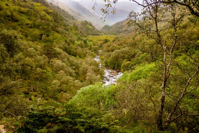Stuart Gennery | Looking along Glen Nevis 
