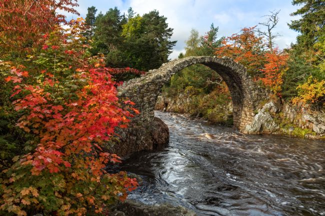 Barbara Jones | Carrbridge Packhorse Bridge in Autumn