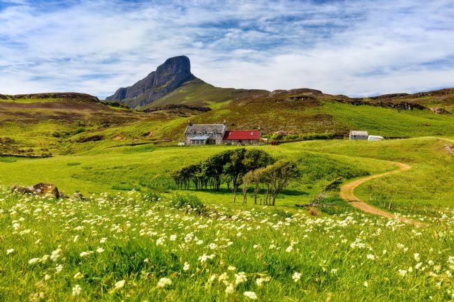 Barbara Jones | Sgurr of Eigg and Galmisdale Farm in Summer Isle of Eigg