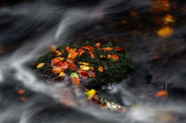 Barbara Jones | Highland Burn Marooned Scottish Highlands
