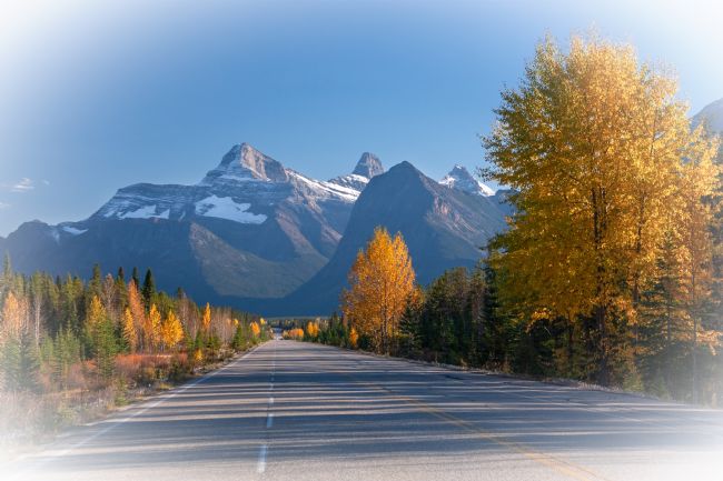Barbara Jones | Icefields Parkway Autumn Scene Alberta Canada