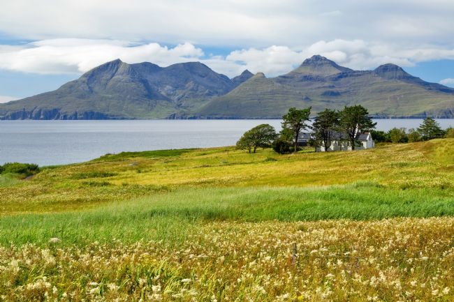 Barbara Jones | Isle of Rum from Eigg Summer Flowers Scotland