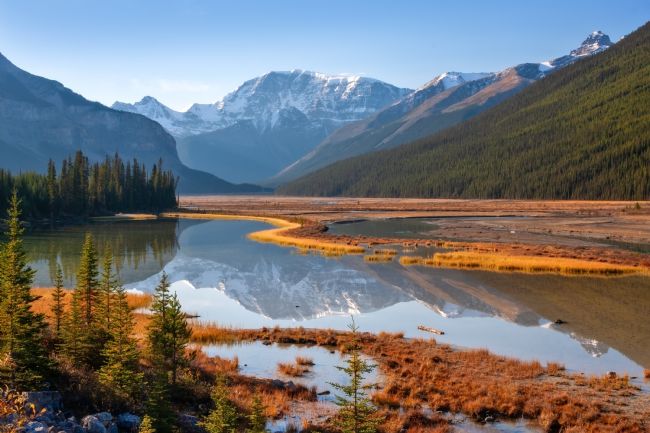 Barbara Jones | Mount Kitchener and Sunwapta River Alberta Canada