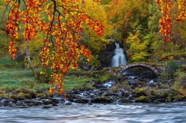 Barbara Jones | Glen Lyon Roman Bridge Autumn Colours Perthshire Scotland.