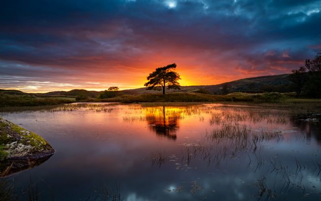 John Henderson | Secret Tarn