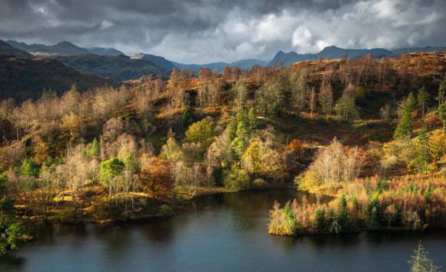 John Henderson | Tarn Hows autumn colours